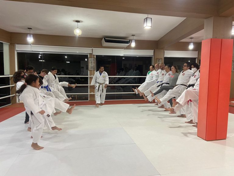 Aula de Karate Shotokan - Escola Renbukan Brasil - Sensei Francisco Santiago - Cotia - São Paulo - Arthur Duarte (2)