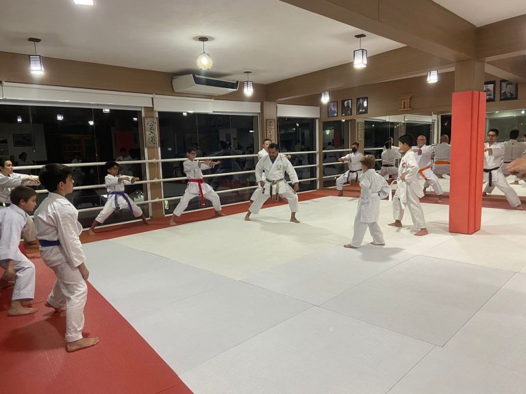 Aula de Karate Shotokan - Escola Renbukan Brasil - Sensei Francisco Santiago - Yago seto