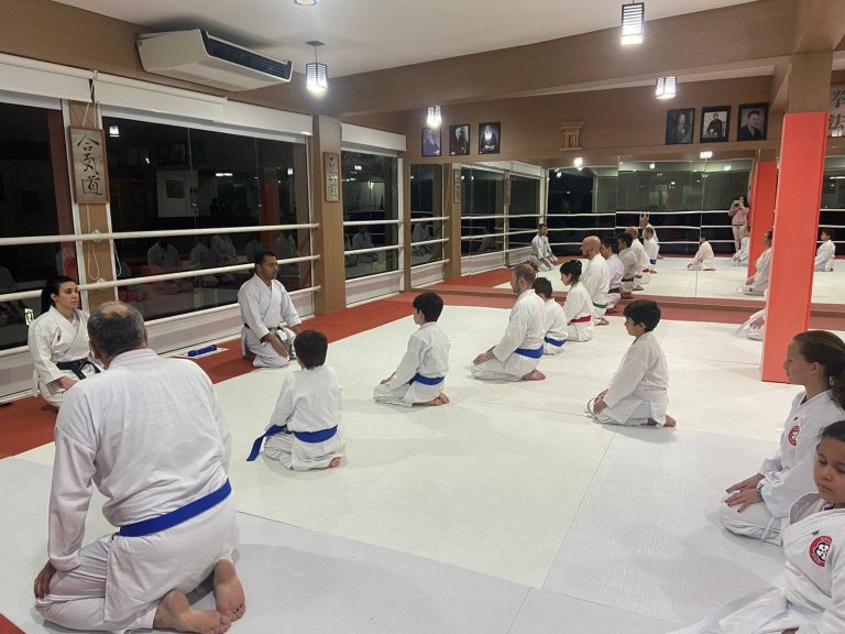 Aula de Karate para crianças - Renbukan Brasil - Escola de Artes Marciais Japonesas - Sensei Francisco Santiago (9)