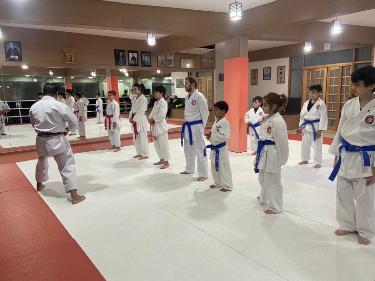 Aula de karate Shotokan - Renbukan Brasil - Escola de artes Marciais - Sensei Francisco Santiago - Cotia - São Paulo