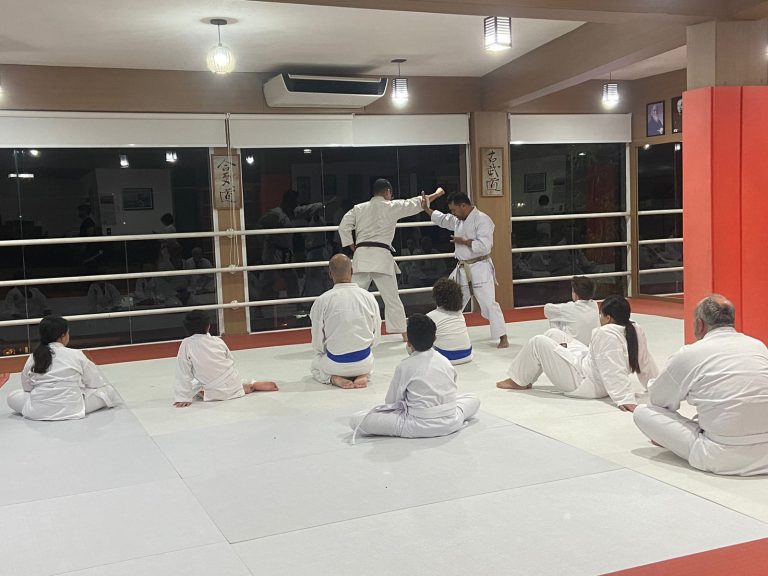 Aula de karate Shotokan - Renbukan Brasil - Escola de artes Marciais - Sensei Francisco Santiago -Cotia - São Paulo 10