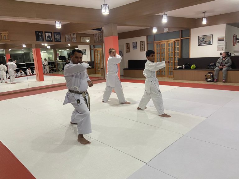 Aula de karate Shotokan - Renbukan Brasil - Escola de artes Marciais - Sensei Francisco Santiago - Cotia - São Paulo 14