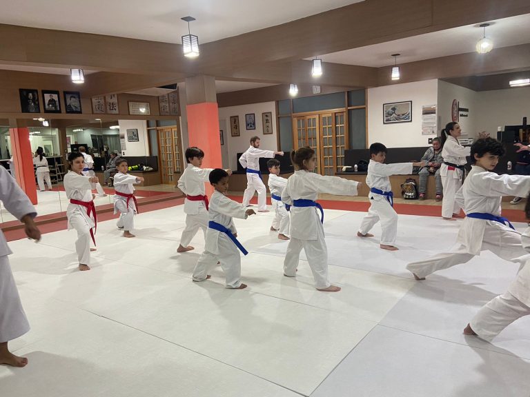 Aula de karate Shotokan - Renbukan Brasil - Escola de artes Marciais - Sensei Francisco Santiago -Cotia - São Paulo
