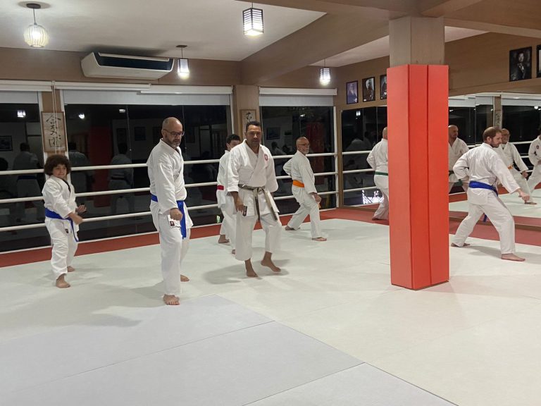 Aulas de Karate - Sensei Francisco Santiago - Renbukan Brasil - Escola de Artes Marciais Japonesas - (3)