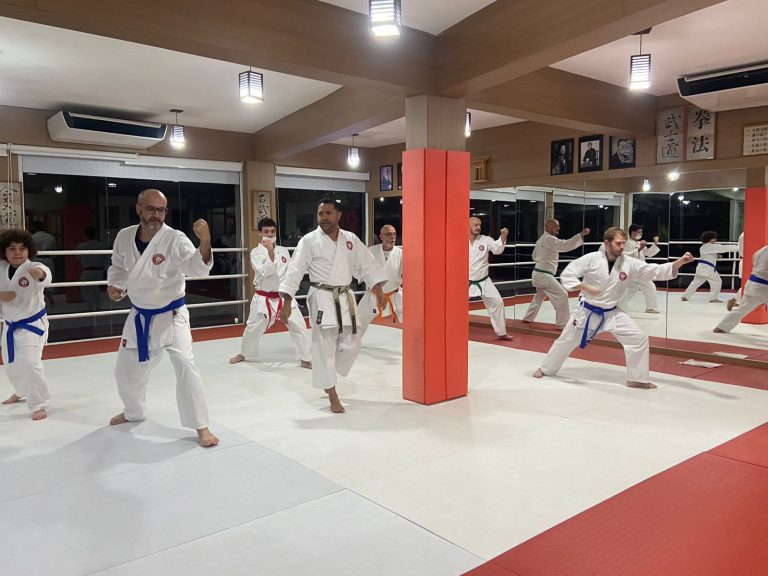 Aulas de Karate - Sensei Francisco Santiago - Renbukan Brasil - Escola de Artes Marciais Japonesas - (4)