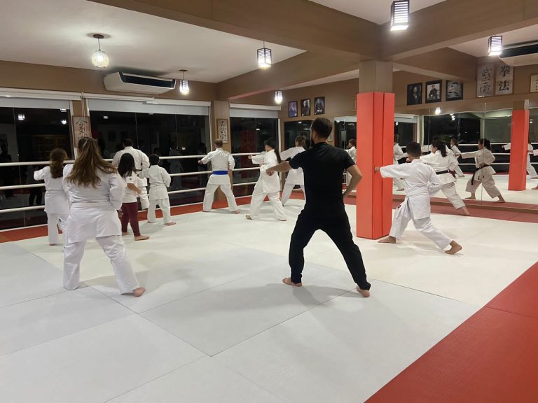 Aulas de Karate - Sensei Francisco Santiago - Renbukan Brasil - Escola de Artes Marciais Japonesas - Cotia - São Paulo - (2)