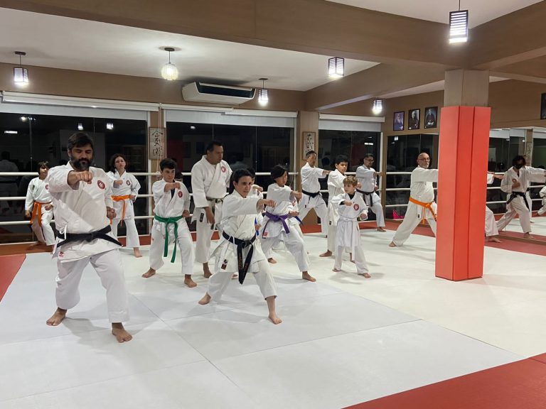 Aulas de Karate - Sensei Francisco Santiago - Renbukan Brasil - Escola de Artes Marciais Japonesas - Cotia - São Paulo - Arthur Duarte - barbara Belafronte