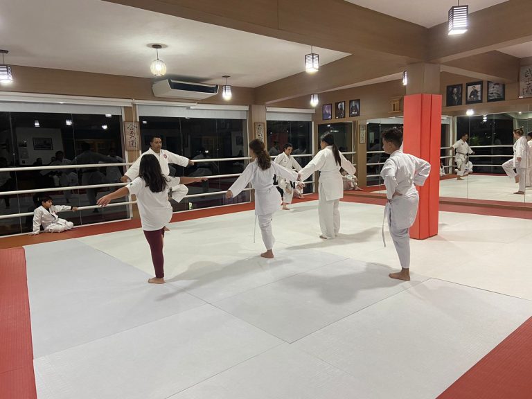 Aulas de Karate - Sensei Francisco Santiago - Renbukan Brasil - Escola de Artes Marciais Japonesas - Cotia - São Paulo - Barbara Belafronte (3)