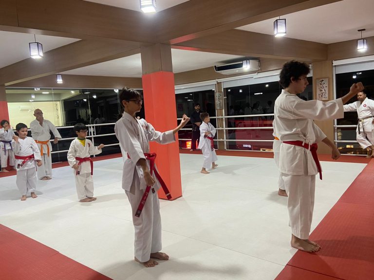 Aulas de Karate - Sensei Francisco Santiago - Renbukan Brasil - Escola de Artes Marciais Japonesas - Cotia - São Paulo - vinni Gracci