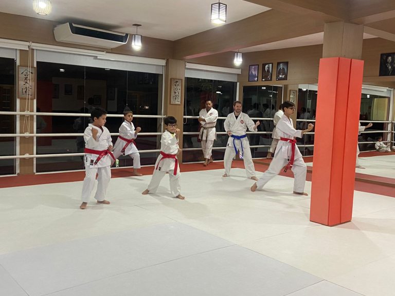Aulas de Karate - Sensei Francisco Santiago - Renbukan Brasil - Escola de Artes Marciais Japonesas - Vinni Gracci