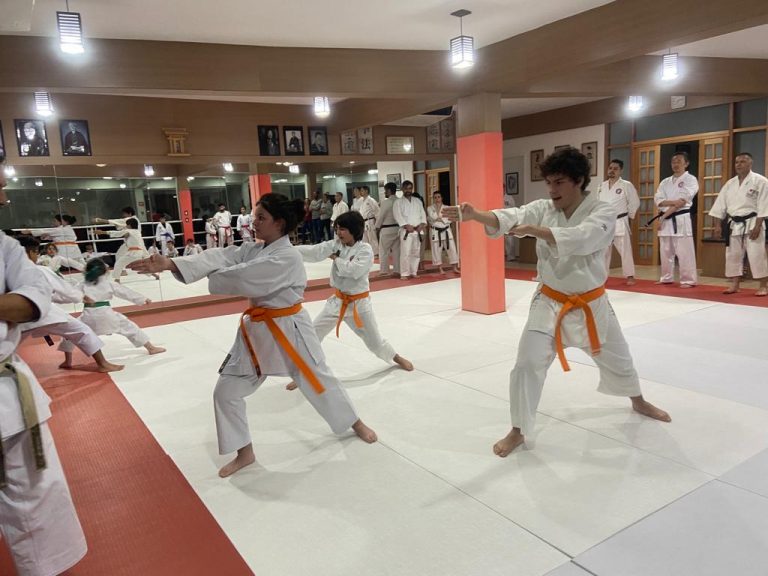 Aulas de Karate - Cotia - São Paulo - Renbukan Brasil - Escola de Artes Marciais Japonesas - Cotia - São Paulo - Sensei francisco Santiago -