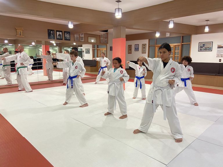 Aula de Karate Shotokan - Crianças e Adolescentes - Sensei Francisco Santiago - Renbukan Brasil - Cotia - São Paulo (1)