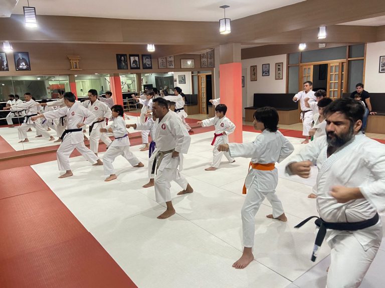 Aula de Karate Shotokan - Crianças e Adolescentes - Sensei Francisco Santiago - Renbukan Brasil - Cotia - São Paulo (10)