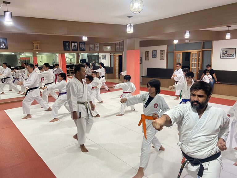 Aula de Karate Shotokan - Crianças e Adolescentes - Sensei Francisco Santiago - Renbukan Brasil - Cotia - São Paulo (11)