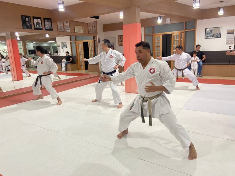 Aula de Karate Shotokan - Crianças e Adolescentes - Sensei Francisco Santiago - Renbukan Brasil - Cotia - São Paulo (2)