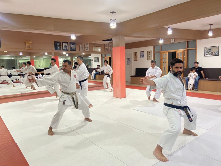 Aula de Karate Shotokan - Crianças e Adolescentes - Sensei Francisco Santiago - Renbukan Brasil - Cotia - São Paulo (3)