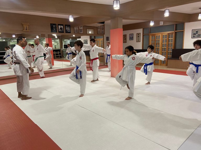 Aula de Karate Shotokan - Crianças e Adolescentes - Sensei Francisco Santiago - Renbukan Brasil - Cotia - São Paulo (5)