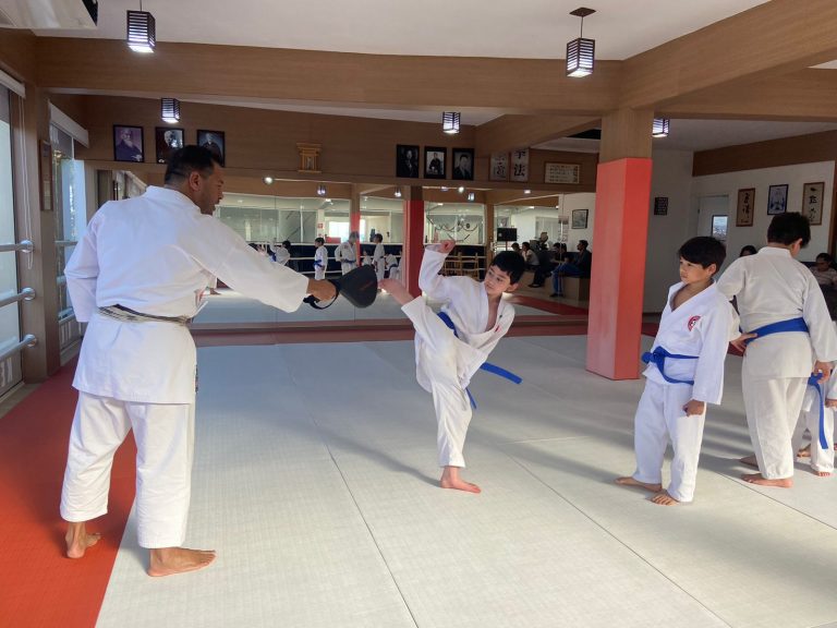 Aula de Karate Shotokan - Crianças e Adolescentes - Sensei Francisco Santiago - Renbukan Brasil - Cotia - São Paulo