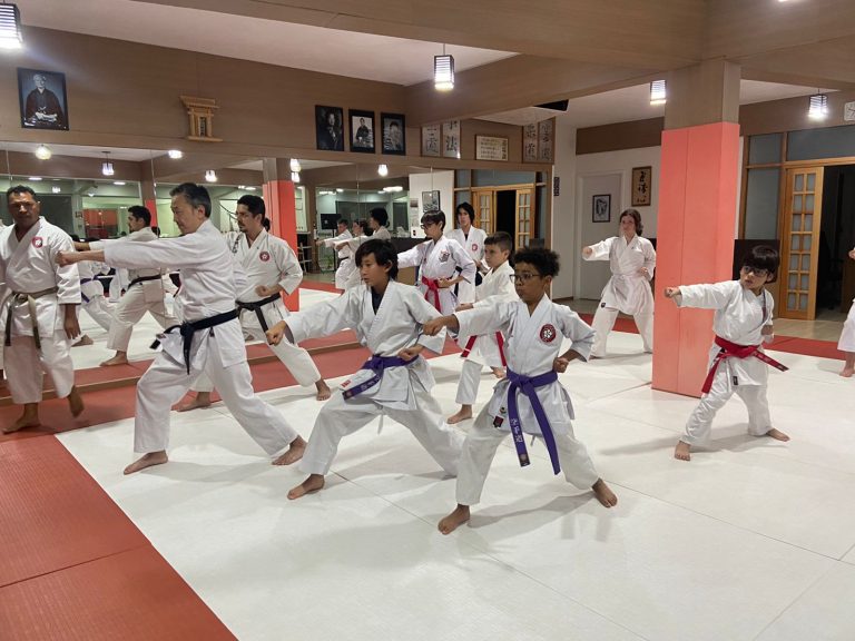 Aula de Karate Shotokan - Crianças e Adolescentes - Sensei Francisco Santiago - Renbukan Brasil - Cotia - São Paulo (8)
