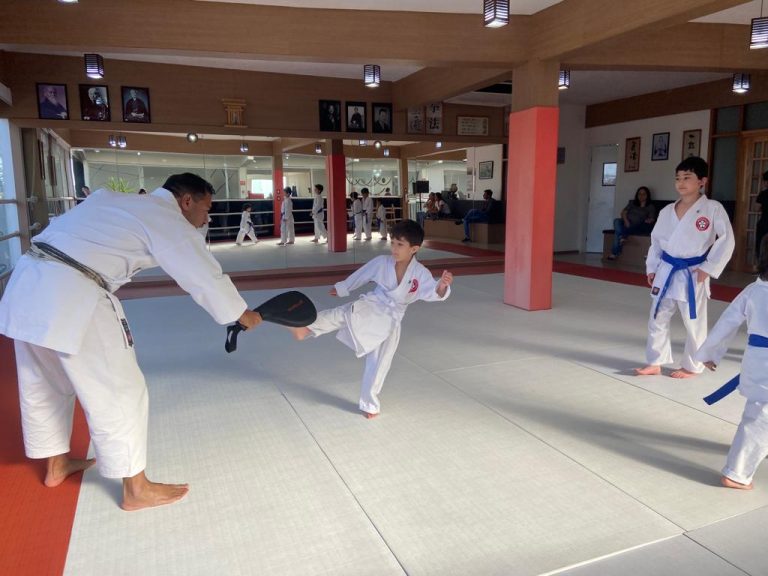 Aula de Karate Shotokan - Sensei Francisco Santiago - Renbukan Brasil - Escola de Artes Marciais Japonesas - Cotia - São Paulo - Aula para Crianças de karate - Aula para Adolescentes de4 Karate -