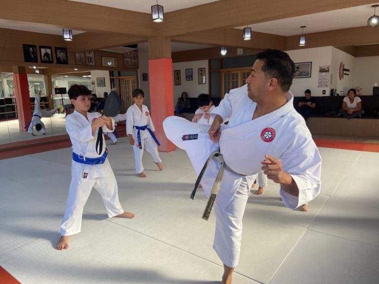 Aula de Karate Shotokan - Sensei Francisco Santiago - Renbukan Brasil - Escola de Artes Marciais Japonesas - Cotia - São Paulo - Aula para Crianças de karate - Aula para Adolescentes de4 Karate - (1 (18)