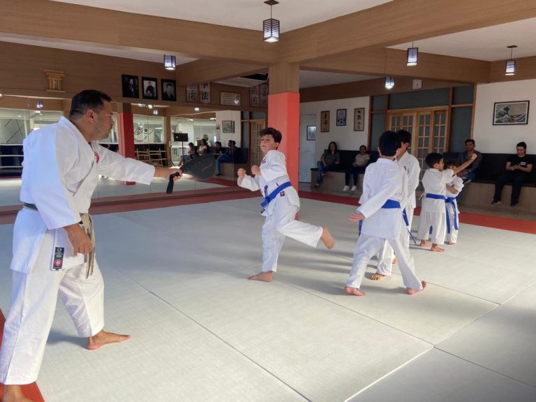 Aula de Karate Shotokan - Sensei Francisco Santiago - Renbukan Brasil - Escola de Artes Marciais Japonesas - Cotia - São Paulo - Aula para Crianças de karate - Aula para Adolescentes de4 Karate - (1 (19)