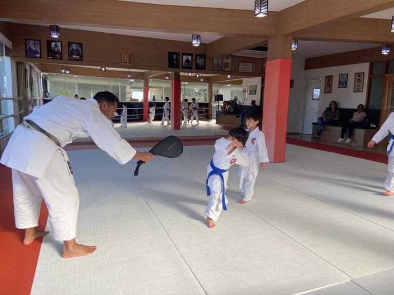 Aula de Karate Shotokan - Sensei Francisco Santiago - Renbukan Brasil - Escola de Artes Marciais Japonesas - Cotia - São Paulo - Aula para Crianças de karate - Aula para Adolescentes de4 Karate - (1 (20)