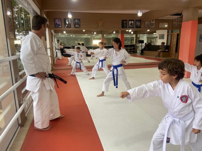Aula de Karate Shotokan - Sensei Francisco Santiago - Renbukan Brasil - Escola de Artes Marciais Japonesas - Cotia - São Paulo - Aula para Crianças de karate - Aula para Adolescentes de4 Karate - (1 (21)