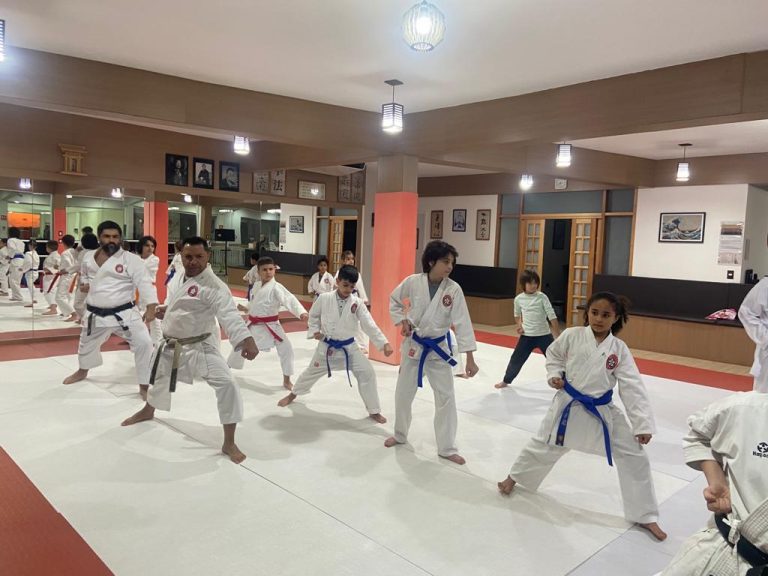 Aula de Karate Shotokan - Sensei Francisco Santiago - Renbukan Brasil - Escola de Artes Marciais Japonesas - Cotia - São Paulo - Aula para Crianças de karate - Aula para Adolescentes de4 Karate - (1 (22)