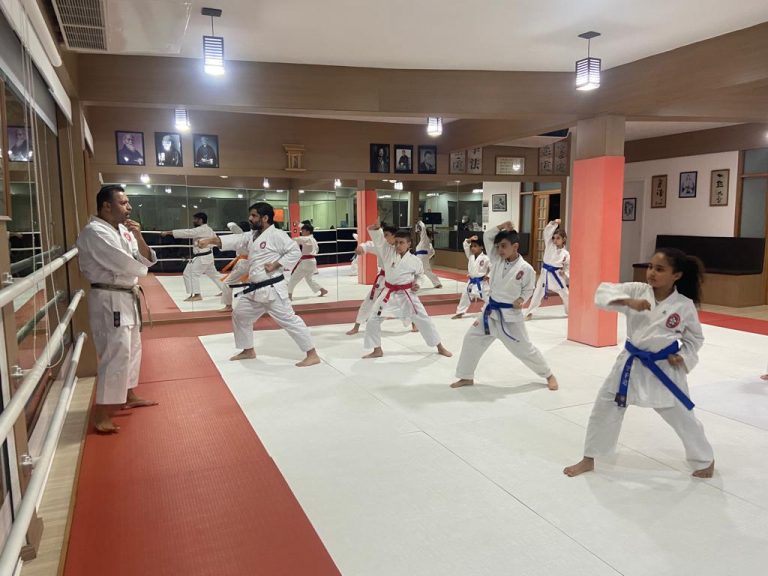 Aula de Karate Shotokan - Sensei Francisco Santiago - Renbukan Brasil - Escola de Artes Marciais Japonesas - Cotia - São Paulo - Aula para Crianças de karate - Aula para Adolescentes de4 Karate - (1 (23)