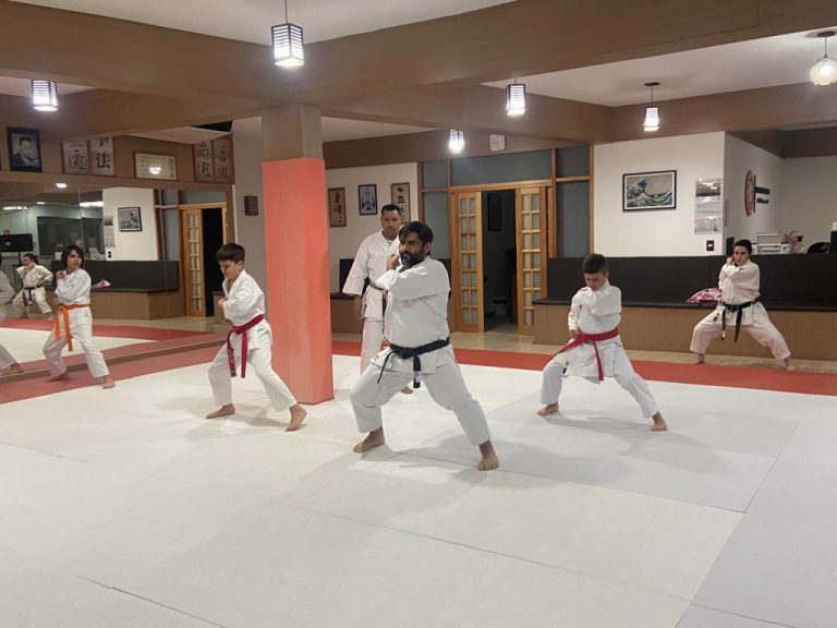 Aula de Karate Shotokan - Sensei Francisco Santiago - Renbukan Brasil - Escola de Artes Marciais Japonesas - Cotia - São Paulo - Aula para Crianças de karate - Aula para Adolescentes de4 Karate - (1 (24)