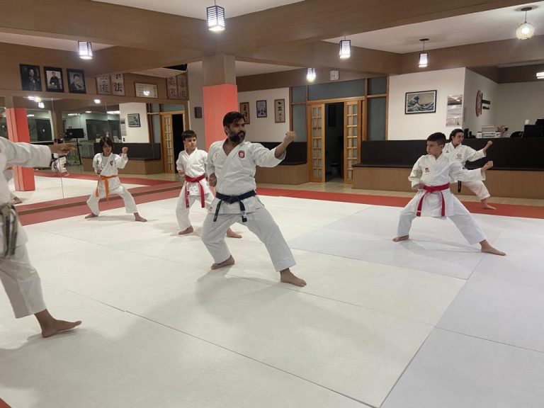 Aula de Karate Shotokan - Sensei Francisco Santiago - Renbukan Brasil - Escola de Artes Marciais Japonesas - Cotia - São Paulo - Aula para Crianças de karate - Aula para Adolescentes de4 Karate - (1 (25)