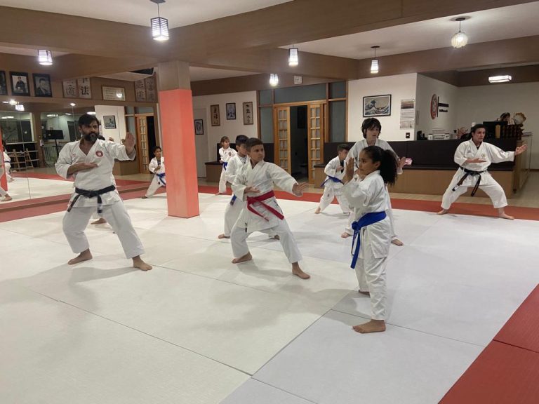 Aula de Karate Shotokan - Sensei Francisco Santiago - Renbukan Brasil - Escola de Artes Marciais Japonesas - Cotia - São Paulo - Aula para Crianças de karate - Aula para Adolescentes de4 Karate - (1 (26)