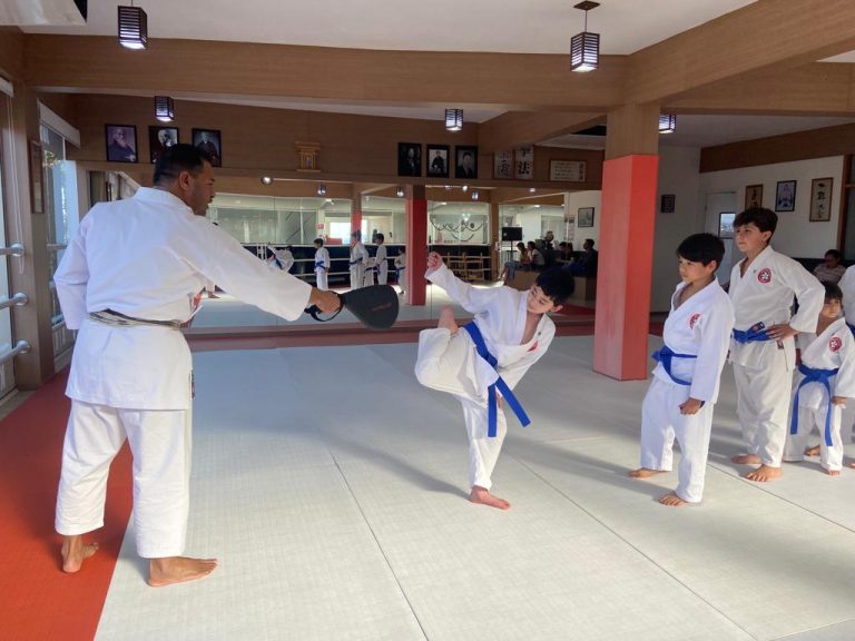 Aula de Karate Shotokan - Sensei Francisco Santiago - Renbukan Brasil - Escola de Artes Marciais Japonesas - Cotia - São Paulo - Aula para Crianças de karate - Aula para Adolescentes de4 Karate - (1