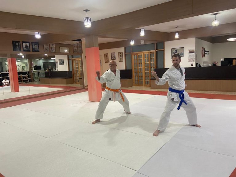 Aula de Karate com Sensei Francisco Santiago - Renbukan Brasil - Escola de Artes Marciais Japonesas - Cotia - São Paulo (13)