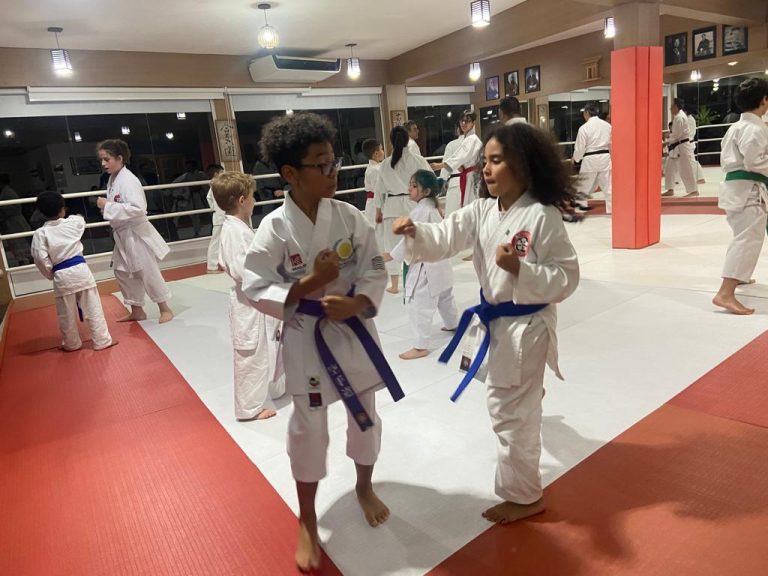 Aula de Karate com Sensei Francisco Santiago - Renbukan Brasil - Escola de Artes Marciais Japonesas - Cotia - São Paulo (18)
