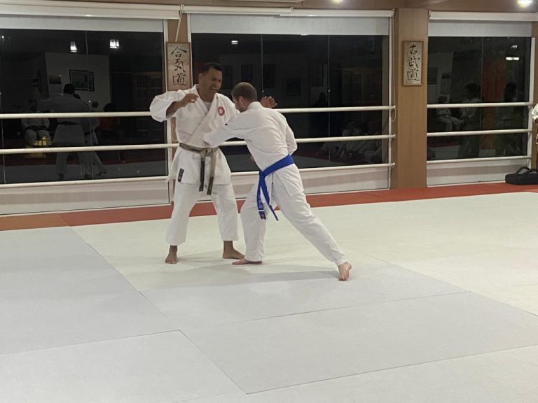 Aula de Karate com Sensei Francisco Santiago - Renbukan Brasil - Escola de Artes Marciais Japonesas - Cotia - São Paulo (8)