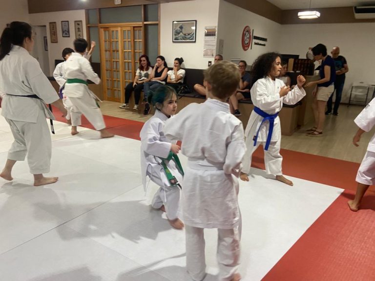 Aula de Karate com Sensei Francisco Santiago - Renbukan Brasil - Escola de Artes Marciais Japonesas - Cotia - São Paulo - Fiorella Bonaguro