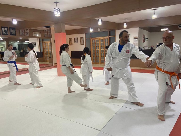 Aula de Karate com Sensei Francisco Santiago - Renbukan Brasil - Escola de Artes Marciais Japonesas - Cotia - São Paulo - Sensei Barbara Belafronte - -