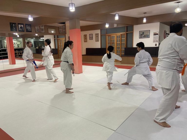 Aula de Karate com Sensei Francisco Santiago - Renbukan Brasil - Escola de Artes Marciais Japonesas - Cotia - São Paulo - Sensei Barbara Belafronte -
