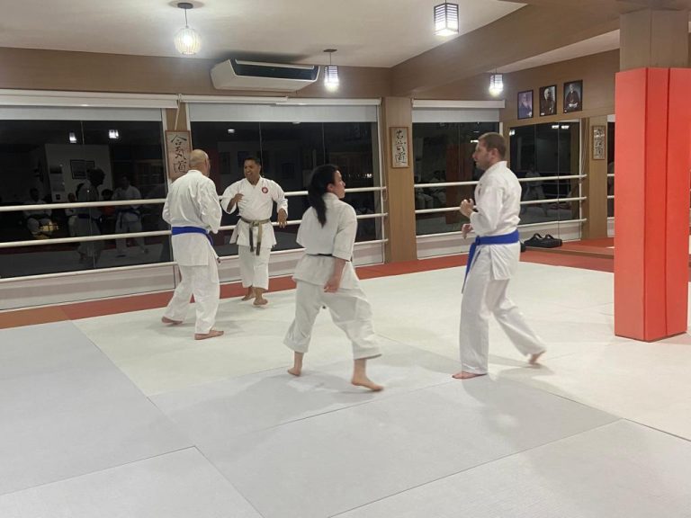 Aula de Karate com Sensei Francisco Santiago - Renbukan Brasil - Escola de Artes Marciais Japonesas - Cotia - São Paulo - Sensei Barbara Belafronte - (2)