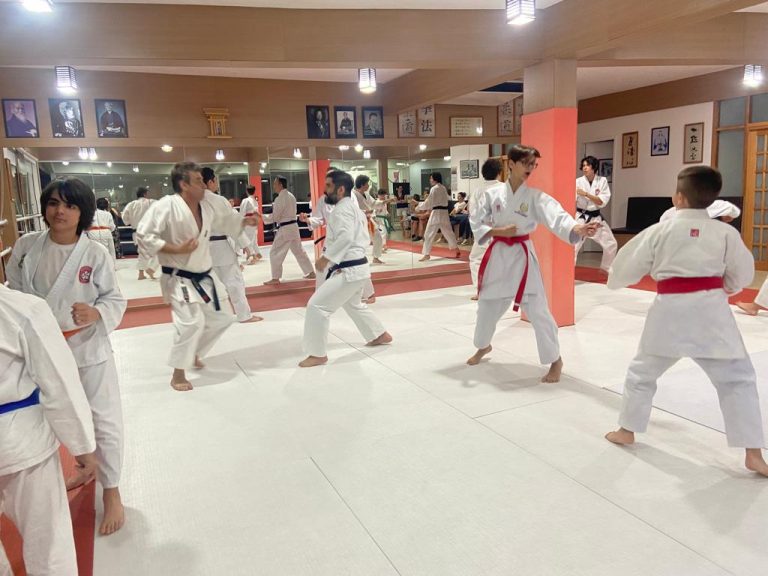 Aula de Karate com Sensei Francisco Santiago - Renbukan Brasil - Escola de Artes Marciais Japonesas - Cotia - São Paulo - Sensei Roberto Nascimento