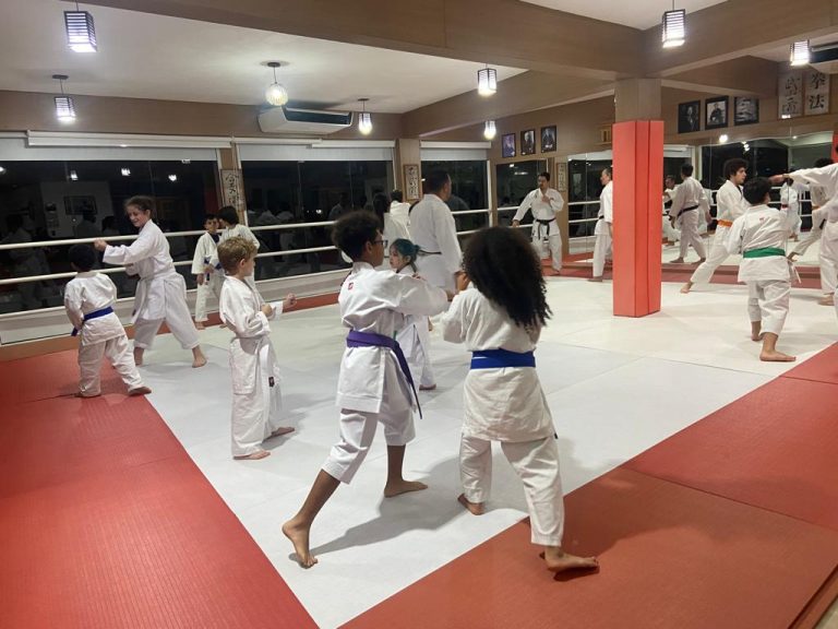 Aula de Karate com Sensei Francisco Santiago - Renbukan Brasil - Escola de Artes Marciais Japonesas - Cotia - São Paulo - yago seto - Arthur Duarte