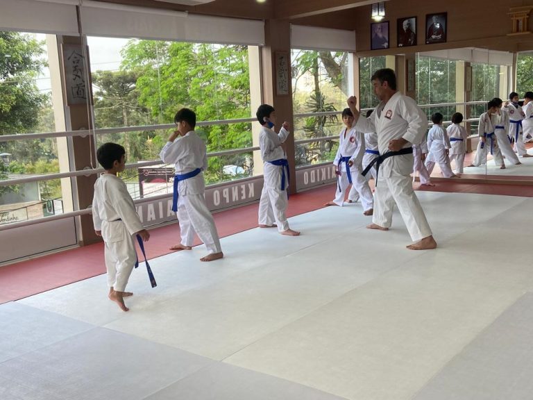 Aula de Karate para crianças - Sensei Roberto Nascimento - Renbukan Brasil - Escola de Artes Marciais Japonesas - Cotia - São Paulo