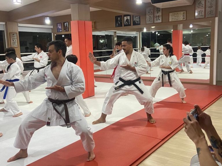 Aula de karate Shotokan - Renbukan Brasil - Escola de Artes Marciais Japonesas - Cotia - São Paulo - Sensei Francisco Santiago (13)