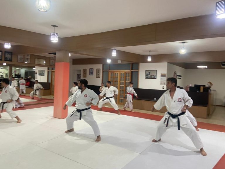Aula de karate Shotokan - Renbukan Brasil - Escola de Artes Marciais Japonesas - Cotia - São Paulo - Sensei Francisco Santiago (15)