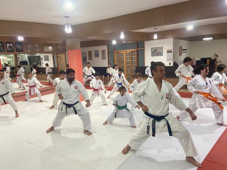 Aula de karate Shotokan - Renbukan Brasil - Escola de Artes Marciais Japonesas - Cotia - São Paulo - Sensei Francisco Santiago (17)