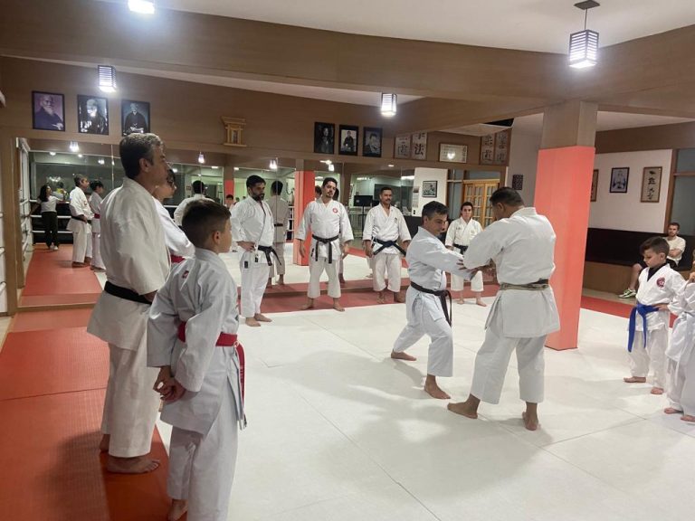 Aula de karate Shotokan - Renbukan Brasil - Escola de Artes Marciais Japonesas - Cotia - São Paulo - Sensei Francisco Santiago (18)