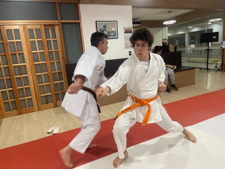 Aula de karate Shotokan - Renbukan Brasil - Escola de Artes Marciais Japonesas - Cotia - São Paulo - Sensei Francisco Santiago (19)
