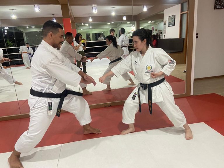 Aula de karate Shotokan - Renbukan Brasil - Escola de Artes Marciais Japonesas - Cotia - São Paulo - Sensei Francisco Santiago (20)